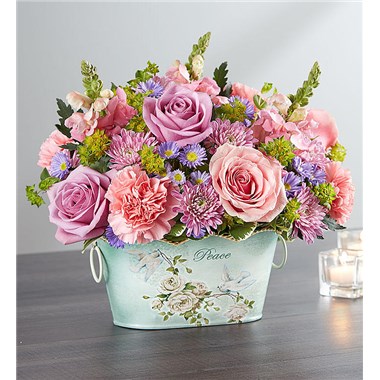 Peace And Healing&trade; Pastel